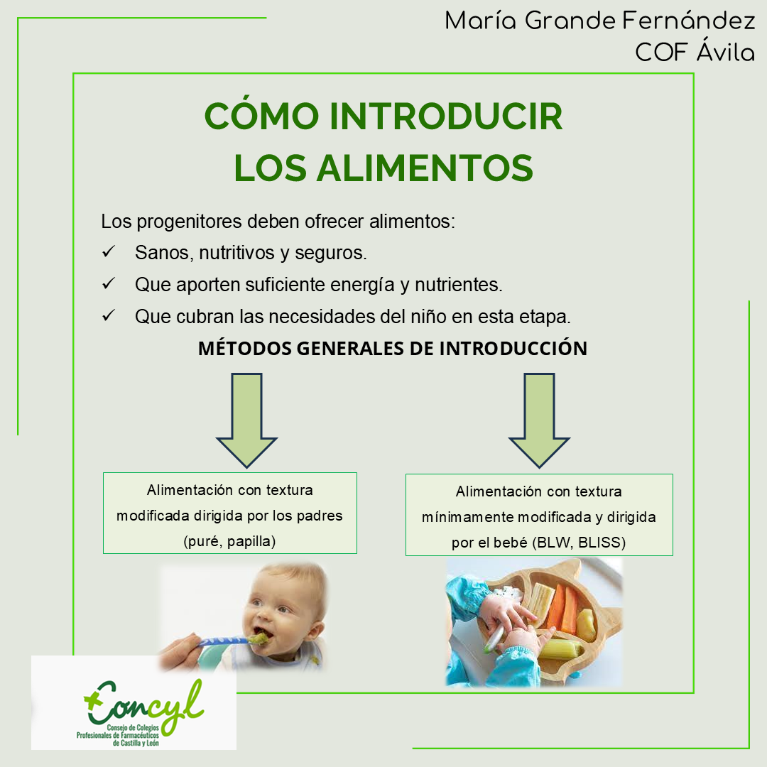 Alimentación Complementaria 4