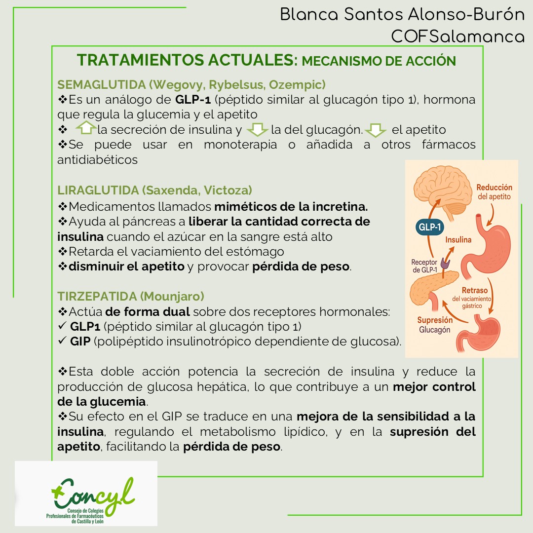 Imagen Obesidad y Diabetes 4