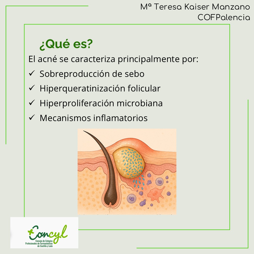 Alimentación y Acné 3