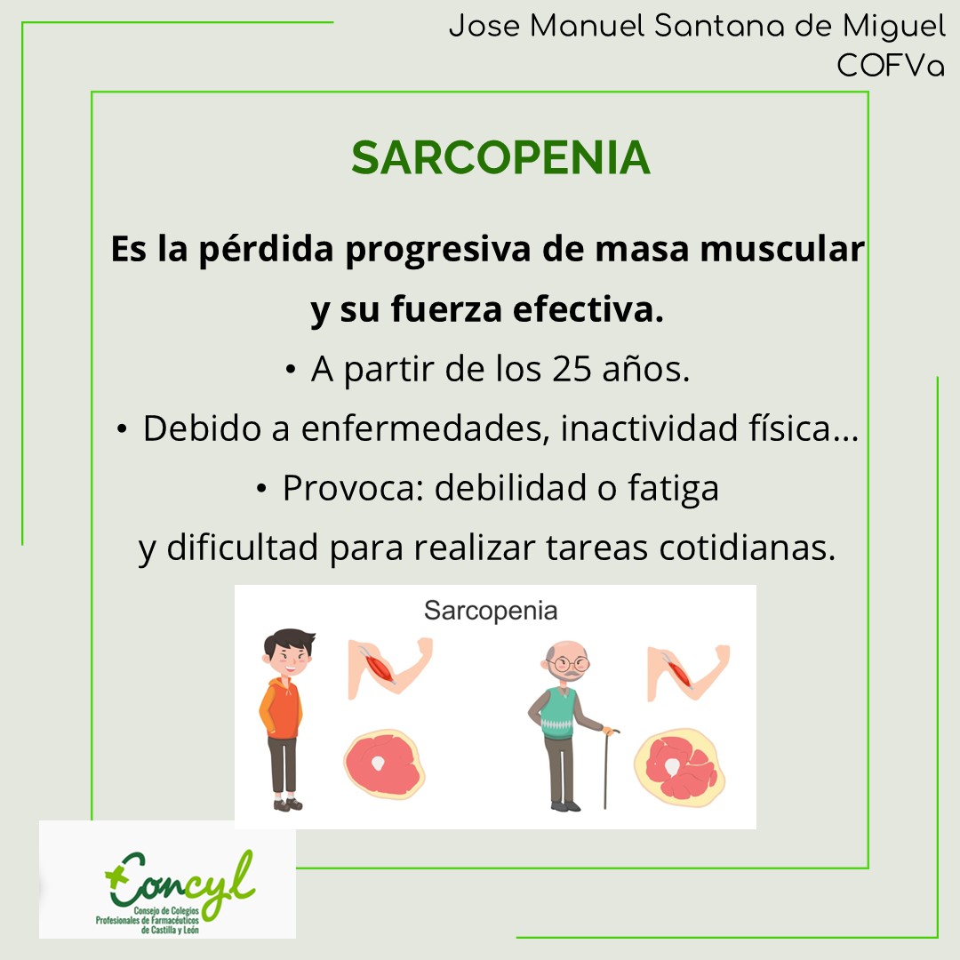 Sarcopenia Diapositiva 2