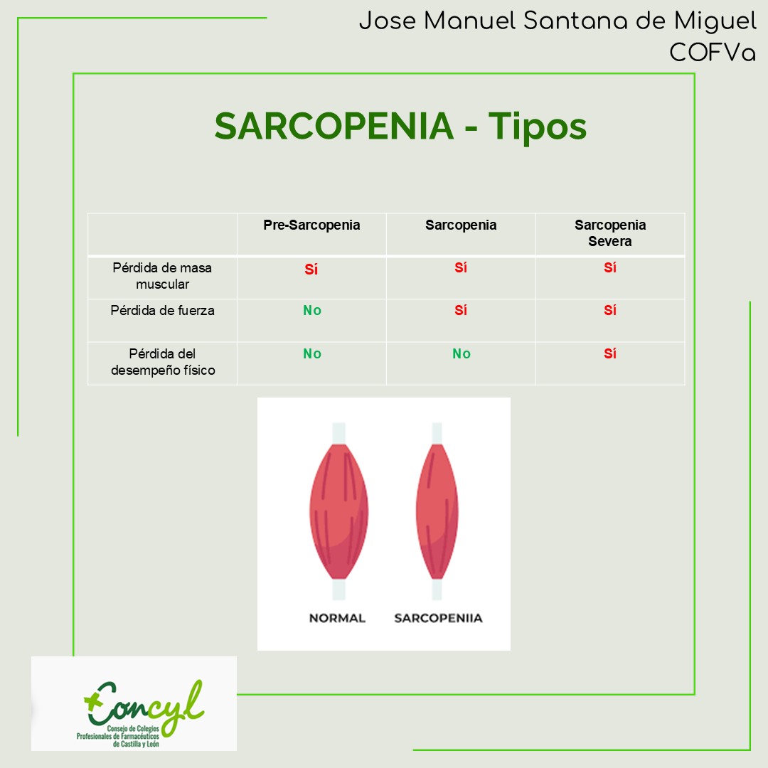 Sarcopenia Diapositiva 3