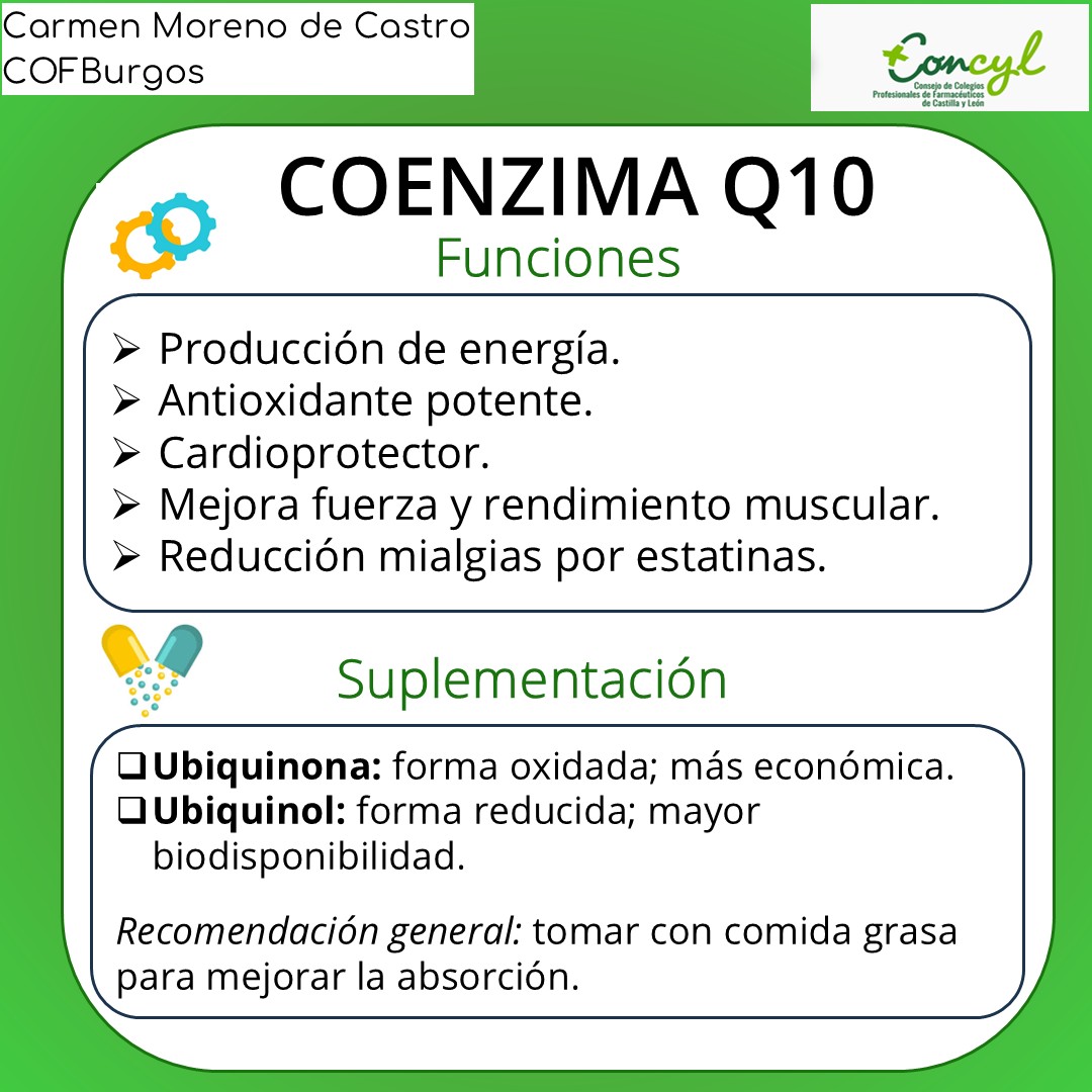 Coenzima Q10 Diapositiva 3