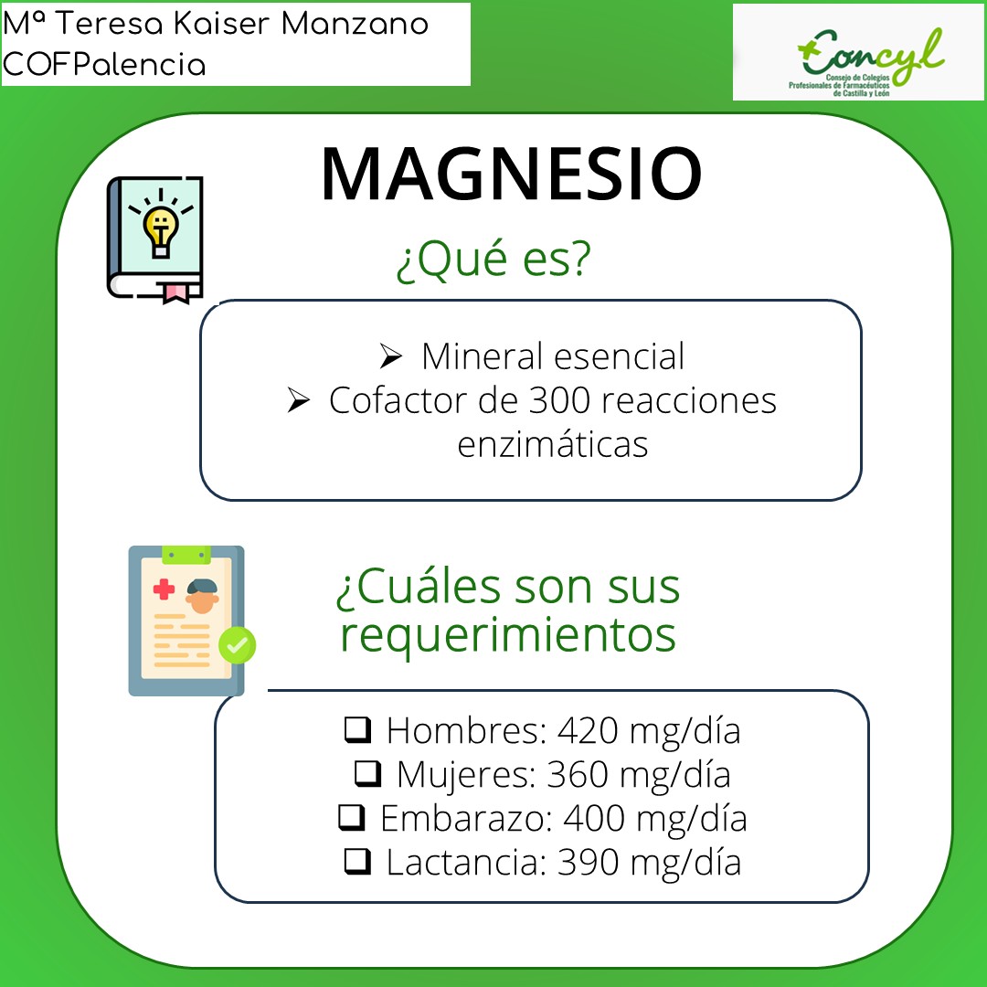 Magnesio Diapositiva 2