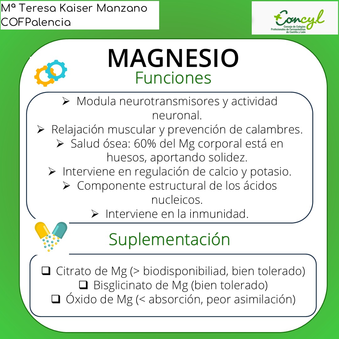 Magnesio Diapositiva 3