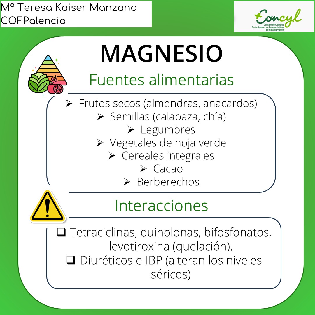 Magnesio Diapositiva 4
