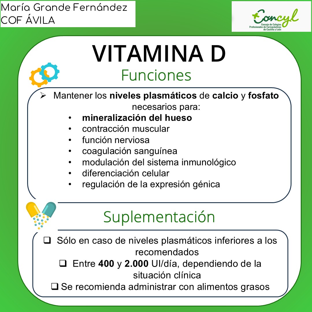 Vitamina D Diapositiva 3