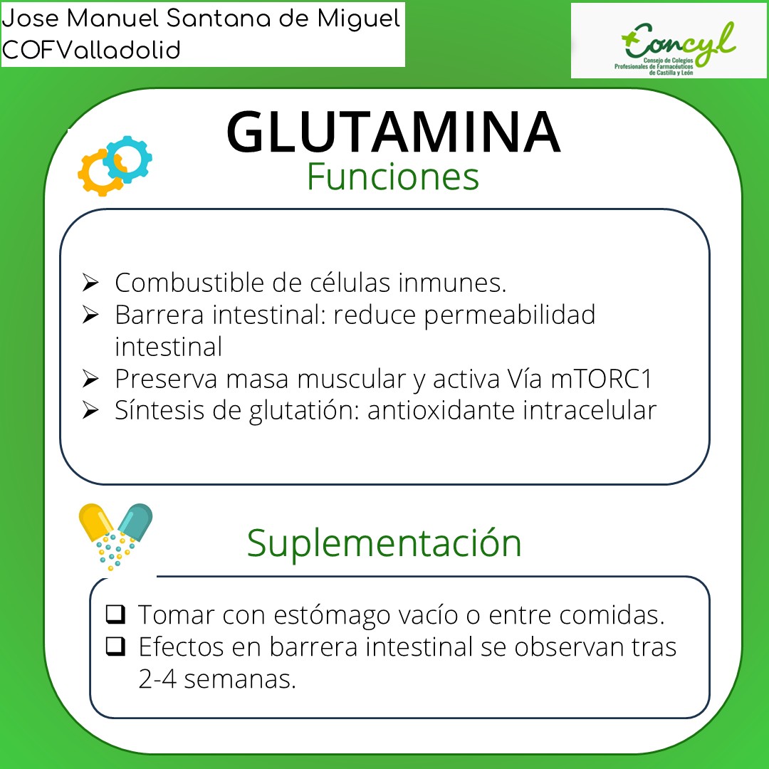 Diapositiva 3