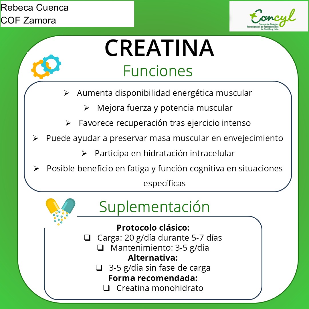 Diapositiva 3