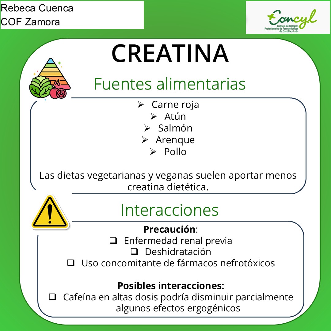 Diapositiva 4