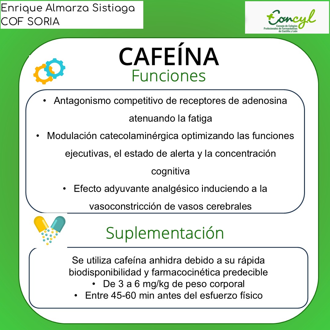 Diapositiva 3