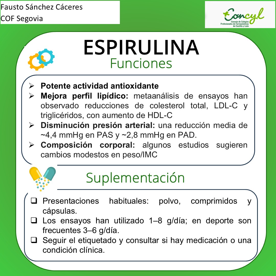 Diapositiva 3
