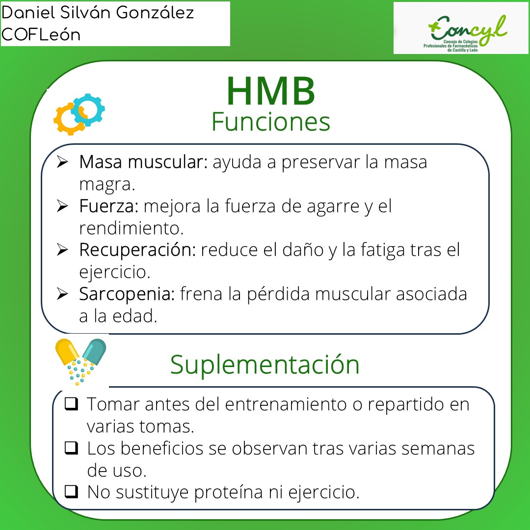 Diapositiva 3