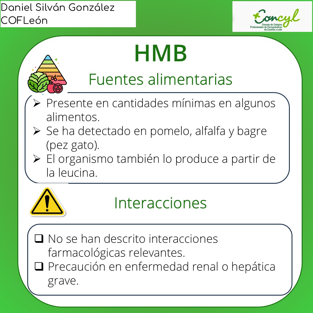 Diapositiva 4